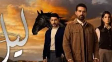 موسمان لعمل واحد.. منصة شاهد توضح آلية عرض مسلسل ليل للجمهور ونظام التقسيم الجديد